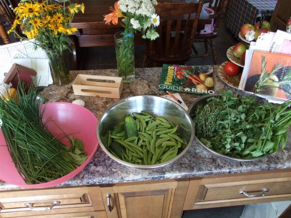 récoltes, légumes, fines herbes, verdures, cuisine