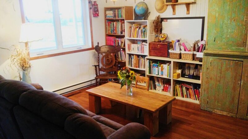 livres, bibliothèque, salon, simplicité