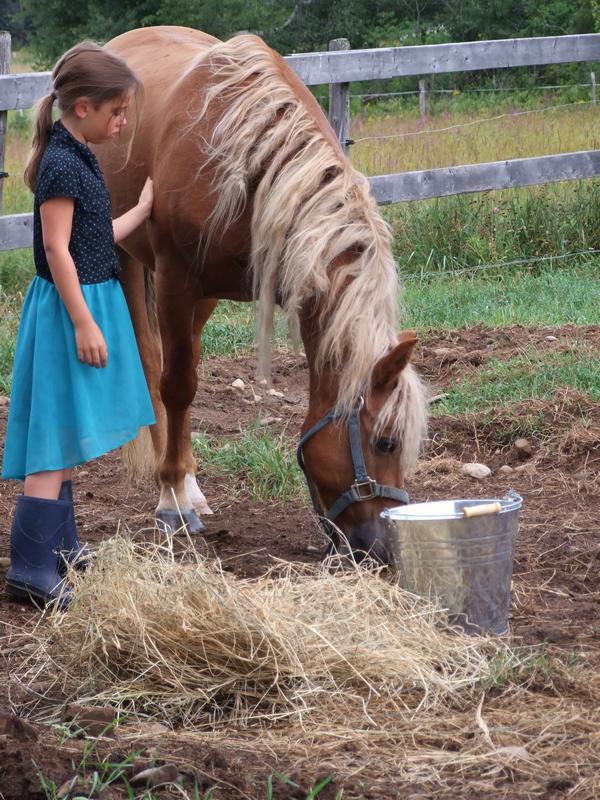 petite fille et son cheval