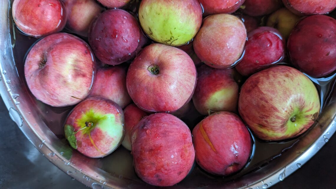 Faire et conserver du jus de pomme fait-maison
